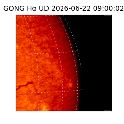 gong - 2026-06-22T09:00:02