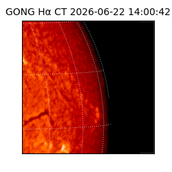 gong - 2026-06-22T14:00:42