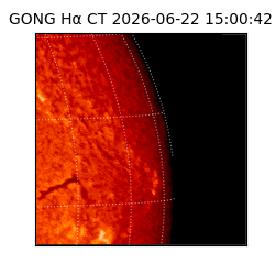 gong - 2026-06-22T15:00:42