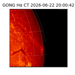 gong - 2026-06-22T20:00:42