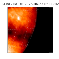 gong - 2026-06-22T05:03:02