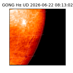 gong - 2026-06-22T08:13:02