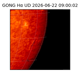 gong - 2026-06-22T09:00:02