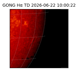 gong - 2026-06-22T10:00:22