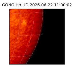 gong - 2026-06-22T11:00:02