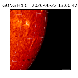 gong - 2026-06-22T13:00:42