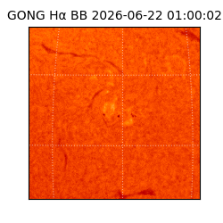 gong - 2026-06-22T01:00:02