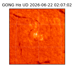 gong - 2026-06-22T02:07:02