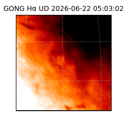 gong - 2026-06-22T05:03:02
