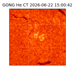 gong - 2026-06-22T15:00:42