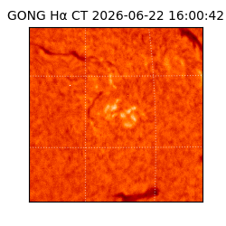 gong - 2026-06-22T16:00:42
