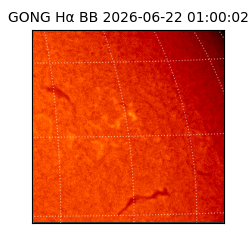 gong - 2026-06-22T01:00:02
