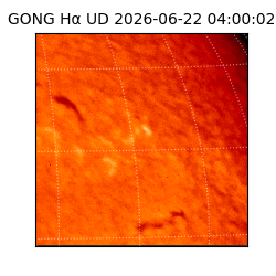 gong - 2026-06-22T04:00:02