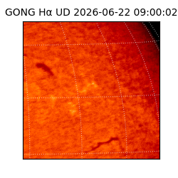 gong - 2026-06-22T09:00:02