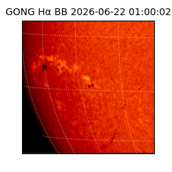 gong - 2026-06-22T01:00:02