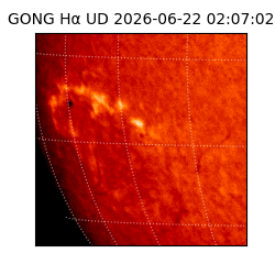 gong - 2026-06-22T02:07:02