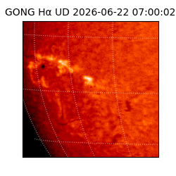 gong - 2026-06-22T07:00:02