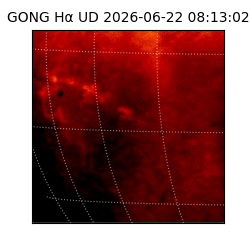 gong - 2026-06-22T08:13:02