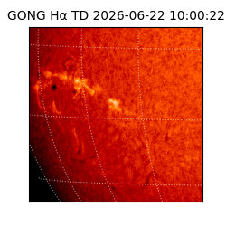 gong - 2026-06-22T10:00:22