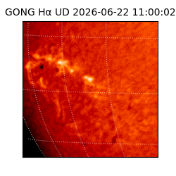 gong - 2026-06-22T11:00:02