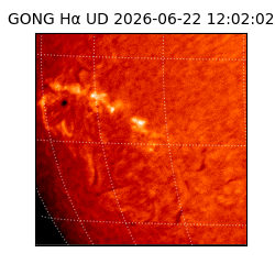 gong - 2026-06-22T12:02:02
