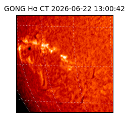 gong - 2026-06-22T13:00:42