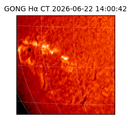 gong - 2026-06-22T14:00:42
