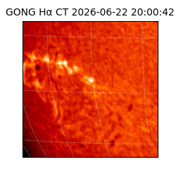 gong - 2026-06-22T20:00:42