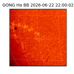 gong - 2026-06-22T22:00:02