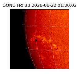 gong - 2026-06-22T01:00:02
