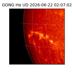 gong - 2026-06-22T02:07:02