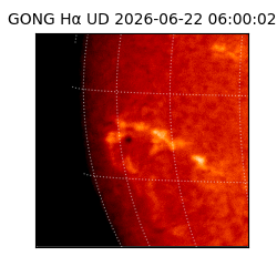 gong - 2026-06-22T06:00:02