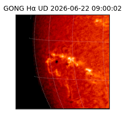 gong - 2026-06-22T09:00:02