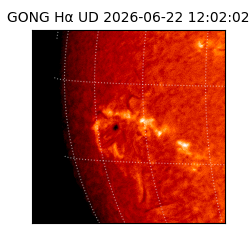 gong - 2026-06-22T12:02:02