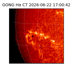 gong - 2026-06-22T17:00:42