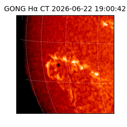 gong - 2026-06-22T19:00:42