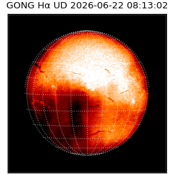 gong - 2026-06-22T08:13:02