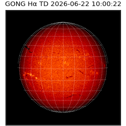 gong - 2026-06-22T10:00:22