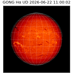 gong - 2026-06-22T11:00:02