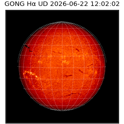 gong - 2026-06-22T12:02:02