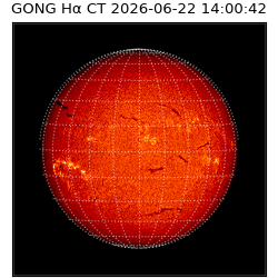 gong - 2026-06-22T14:00:42