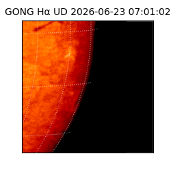 gong - 2026-06-23T07:01:02