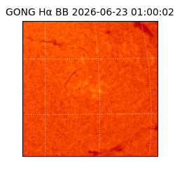 gong - 2026-06-23T01:00:02