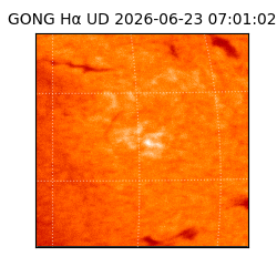 gong - 2026-06-23T07:01:02