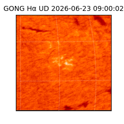 gong - 2026-06-23T09:00:02