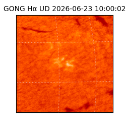 gong - 2026-06-23T10:00:02