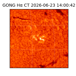 gong - 2026-06-23T14:00:42