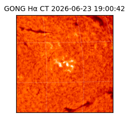 gong - 2026-06-23T19:00:42