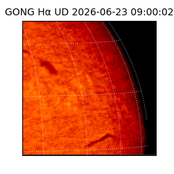 gong - 2026-06-23T09:00:02