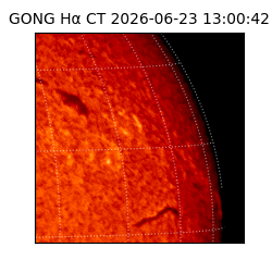 gong - 2026-06-23T13:00:42